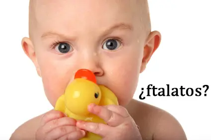 patitoftalato-copia